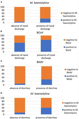 Factors Affecting the Development of Bovine Respiratory Disease: A Cross-Sectional Study in Beef Steers Shipped From France to Italy